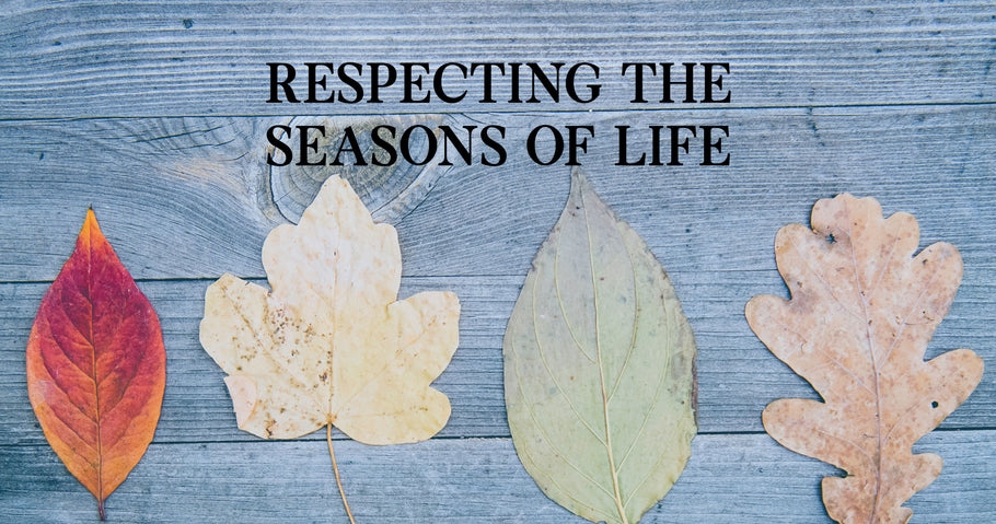 Beyond Alpha Podcast | Respecting the Seasons of Life