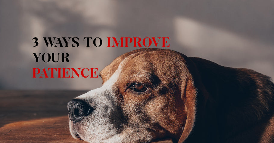 Beyond Alpha Podcast | 3 Ways to Improve Your Patience